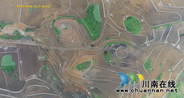 古蔺县龙山镇杨坪村：产业基地如画卷，乡村振兴有基础(图3)
