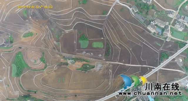 古蔺县龙山镇杨坪村：产业基地如画卷，乡村振兴有基础(图5)