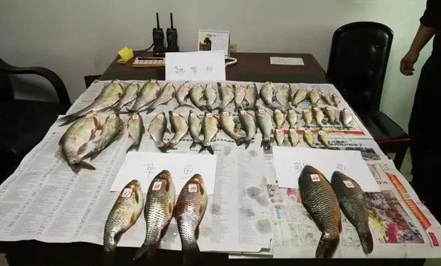 遭起！泸州3名“好吃嘴”，被抓前还不忘先撮一顿……(图3)