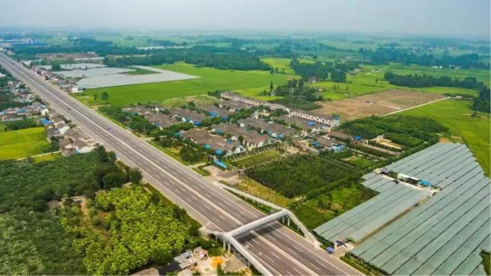 四川明令：禁止占用永久基本农田挖塘养鱼、发展林果业(图1)