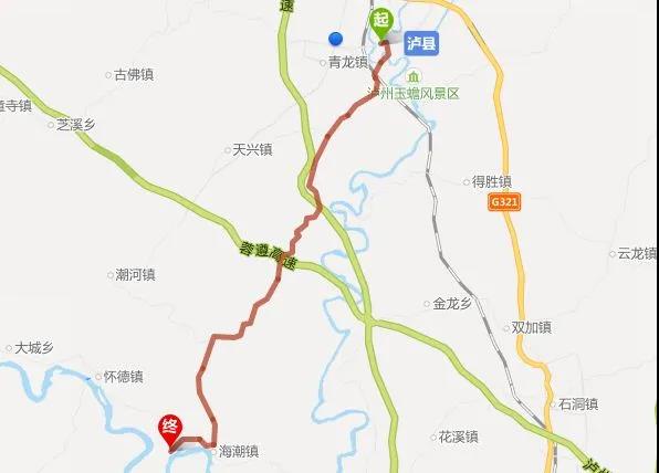 又大又甜！泸县这里的枇杷熟了(图11)