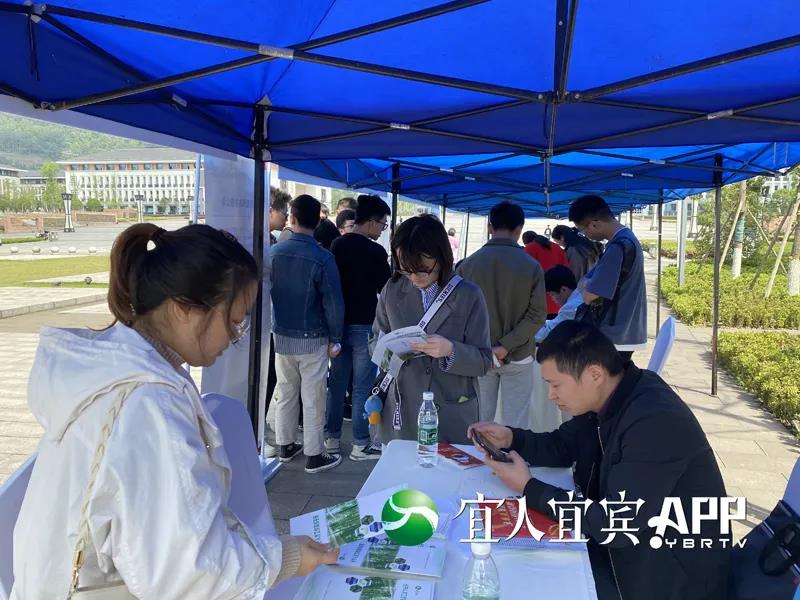 最高享400万元安家补助！宜宾要引进更多人才(图4)