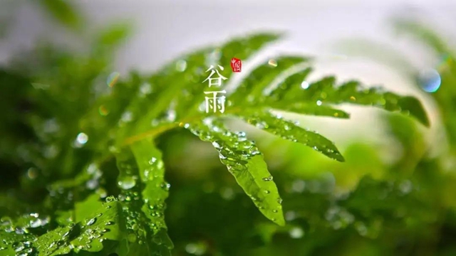 【扩散】今天起，要多吃这些食物？