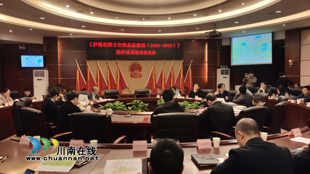 龙马潭区召开国土空间总体规划初步成果征求意见会