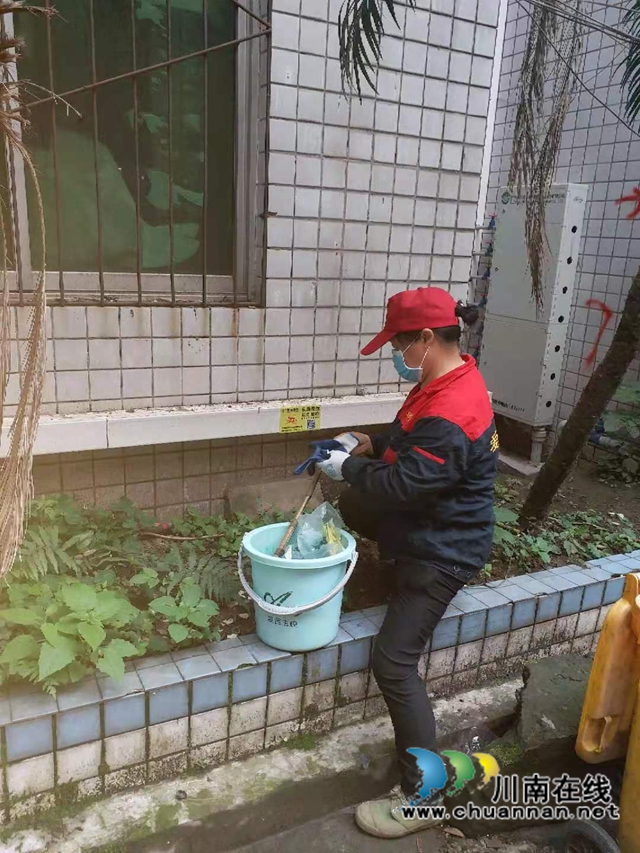 龙马潭区红星街道龙桥子社区开展除四害活动