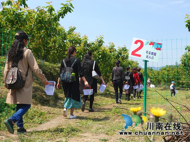 产城一体 古蔺县金兰街道“两项改革”后正焕发出蓬勃生机(图6)