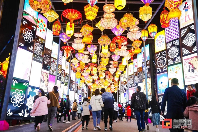 自贡灯会荣获“中国最佳”金奖！(图3)
