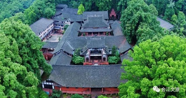 不用出远门,泸州这些地方就够你耍了(图22) 不用出远门,泸州这些地方就够你耍了(图22)