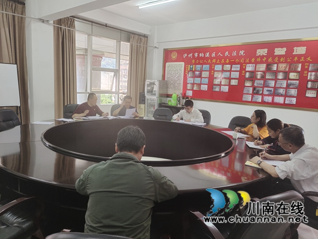 纳溪区法院机关各党支部召开队伍教育整顿专题组织生活会