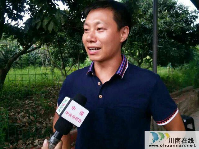 合江县：返乡创业种荔枝，合江飞出领头雁(图2)