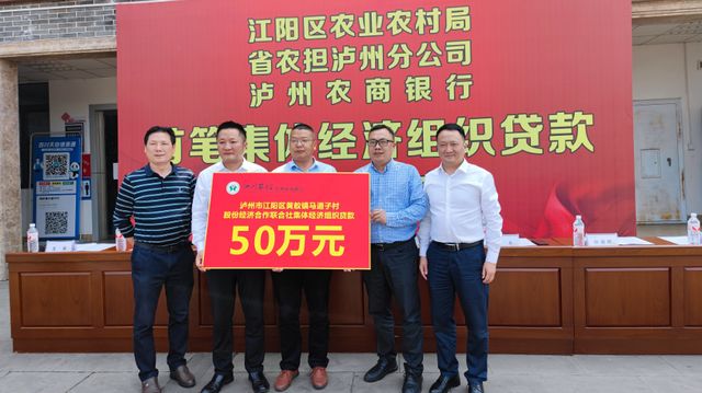 泸州首笔村集体经济贷款成功发放(图1)