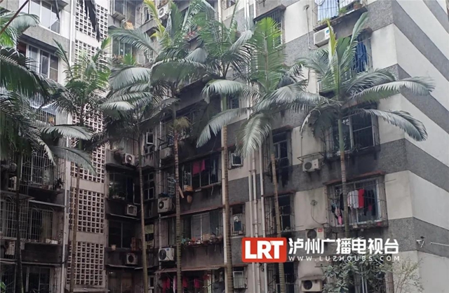 快看,泸州这4个老旧小区换“新颜”了!(图1) 快看,泸州这4个老旧小区换“新颜”了!(图1)