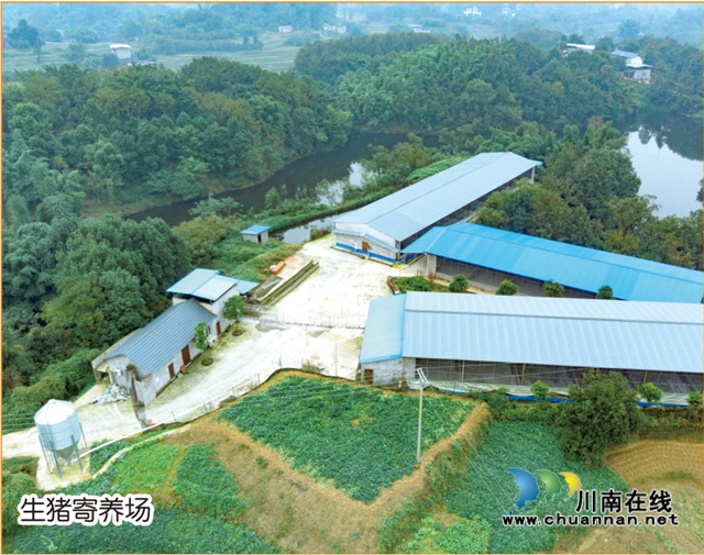 泸县云龙镇：融入泸永江一体化发展，“双龙会”结对子共享共赢