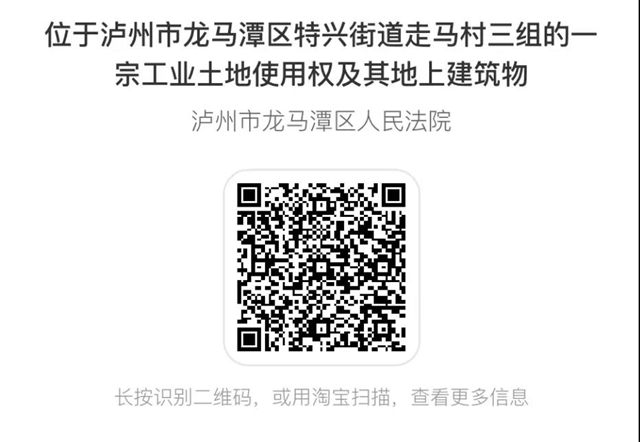 龙马潭法院司法拍卖 | 47亩工业用地等你来拍！(图1)