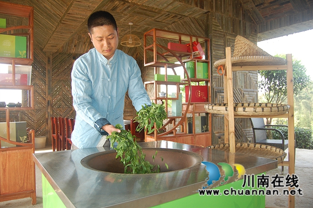 小荷才露尖尖角！纳溪“拂羽翠芽”斩获第十届四川国际茶业博览会金奖(图7)