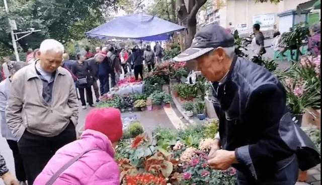 告别脏乱差！自贡这个自发花卉、宠物交易市场要“搬家”啦！(图1)