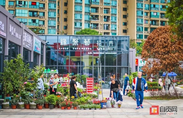 告别脏乱差！自贡这个自发花卉、宠物交易市场要“搬家”啦！(图3)