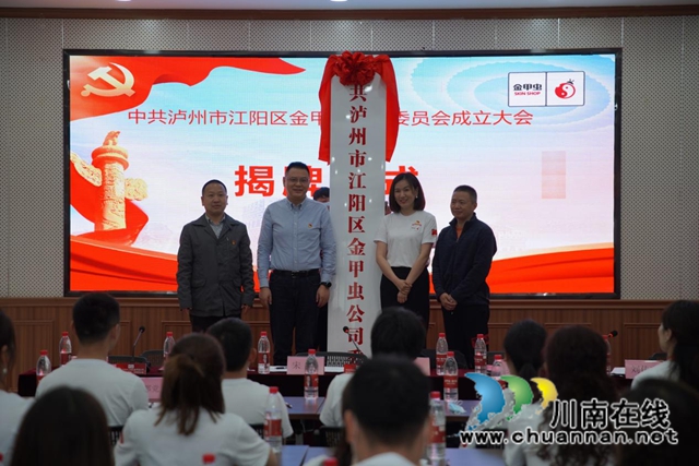 江阳区北城街道金甲虫党总支升格为党委