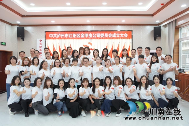 江阳区北城街道金甲虫党总支升格为党委(图3)
