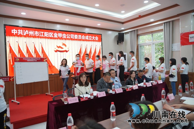江阳区北城街道金甲虫党总支升格为党委(图2)