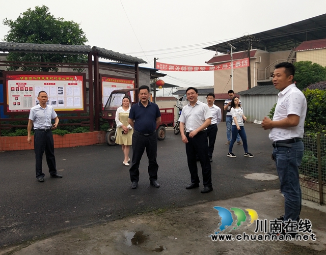先泽平到泸县百和镇调研法治政府建设工作