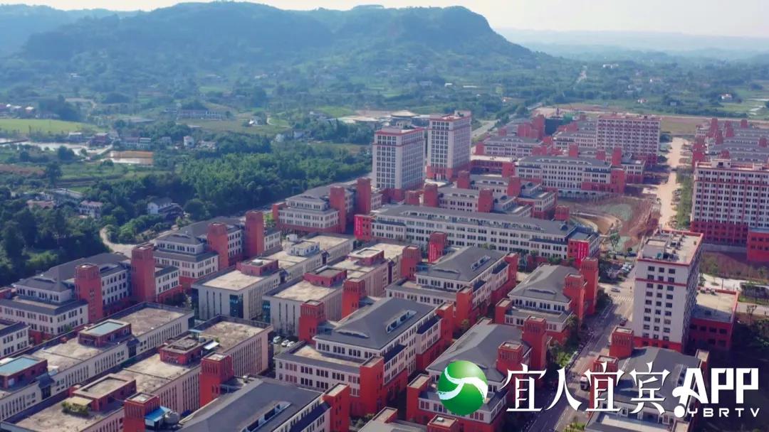 【深度观察】宜宾外贸：为何连续14个月高歌猛进？