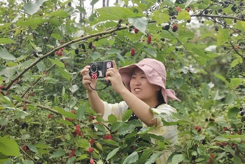 高甜预警！泸州近郊最新采摘攻略上线(图9)