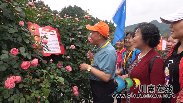 古蔺：花海迷宫引客来，苗乡赏花上学党史(图3)