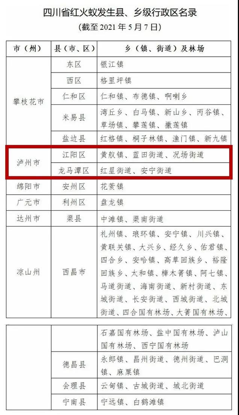 省上紧急提醒：红火蚁已入侵泸州这些地方，看到千万别上手摸！(图1)