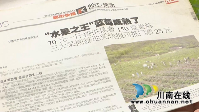 合江：“蓝”精灵“莓”好尽现(图8)