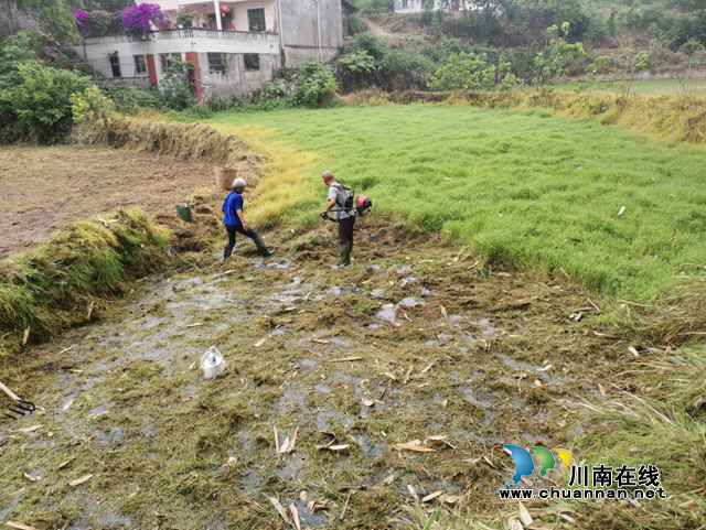 宜宾南溪区长兴镇扎实推进撂荒地整治行动