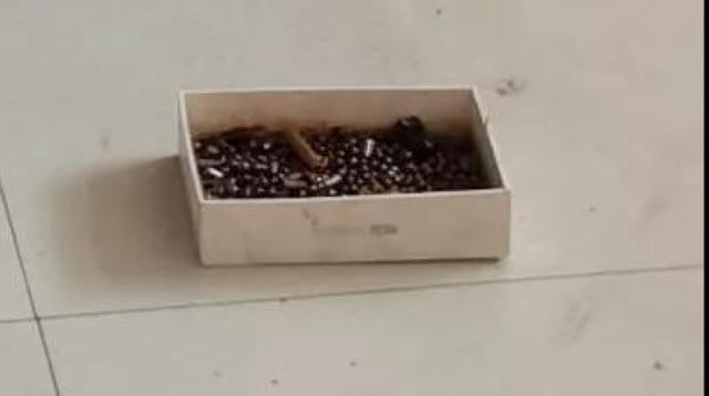 泸州小伙自制枪支并配有“消音器”,大胆拿到户外测试……(图7) 泸州小伙自制枪支并配有“消音器”,大胆拿到户外测试……(图7)