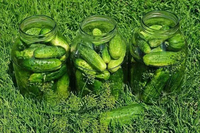 【分享】夏季吃这比西瓜还解渴,解暑又便宜!(图4) 【分享】夏季吃这比西瓜还解渴,解暑又便宜!(图4)