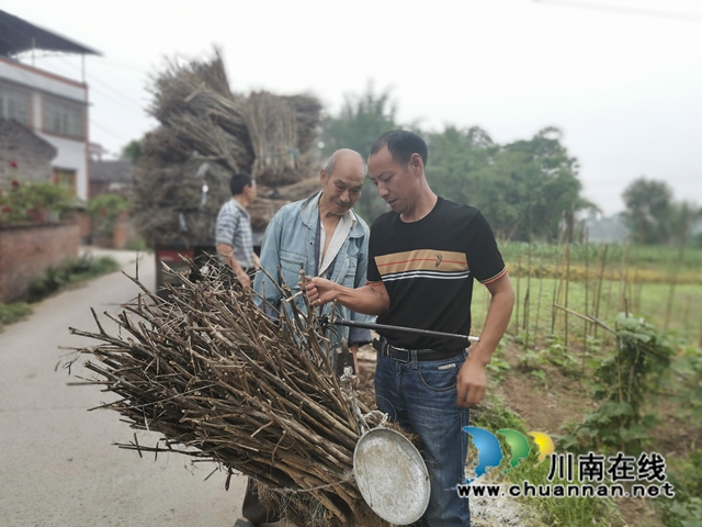 变废为宝　泸县嘉明镇农作物秸秆综合利用探出路子(图3)