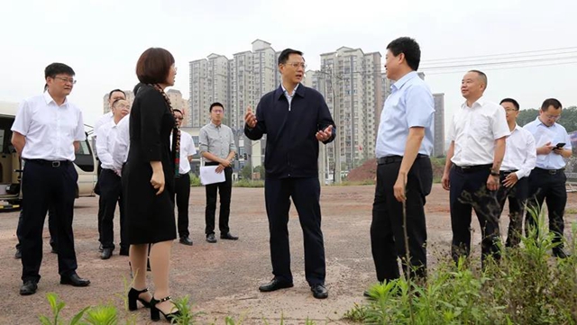 泸州市委副书记、代理市长余先河率队调研酒业园区高质量发展情况