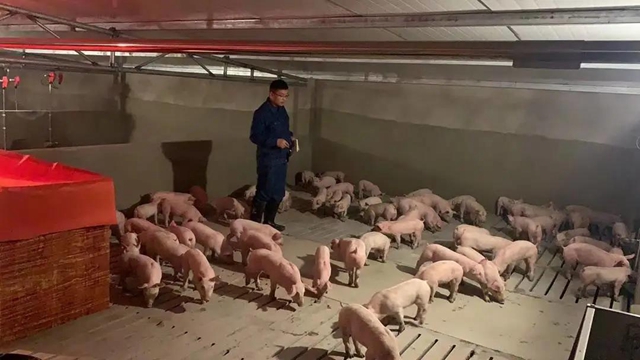 江阳区现代生态循环农业产业园一期竣工投用