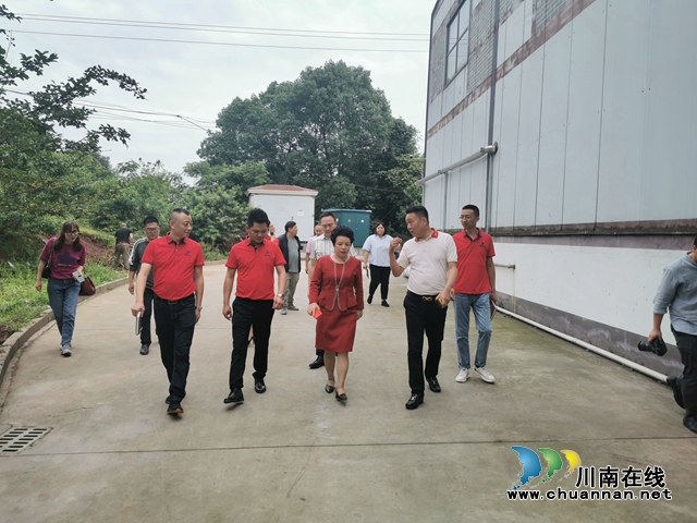 刘旭晴带队调研民革党员企业：走进现场“把脉开方”，助力党员企业发展