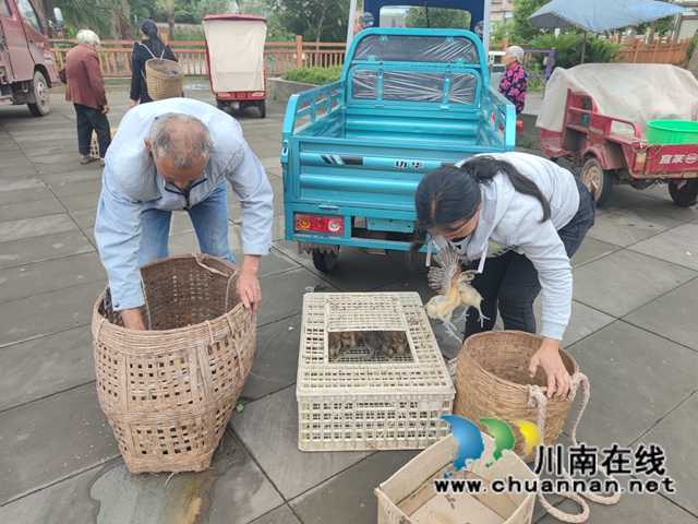 泸县残联在百和镇举行2021年养鸡技术培训(图2)