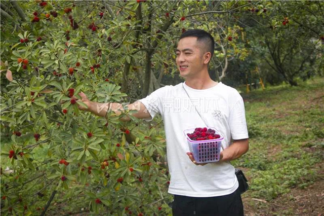 酸酸甜甜就是这个味儿!内江杨梅熟了,“搞快”摘!(图17) 酸酸甜甜就是这个味儿!内江杨梅熟了,“搞快”摘!(图17)