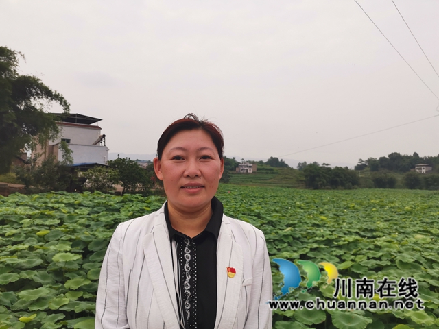 泸县：支书主任一肩挑，挑出乡村新活力(图3)