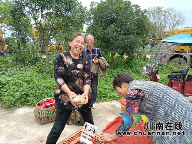 泸县残联开展“我为群众办实事”实践活动——送鸡苗下乡(图8)