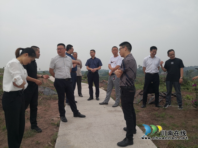 马晋宇带队到泸县云龙镇调研乡村振兴和两项改革“后半篇”文章工作