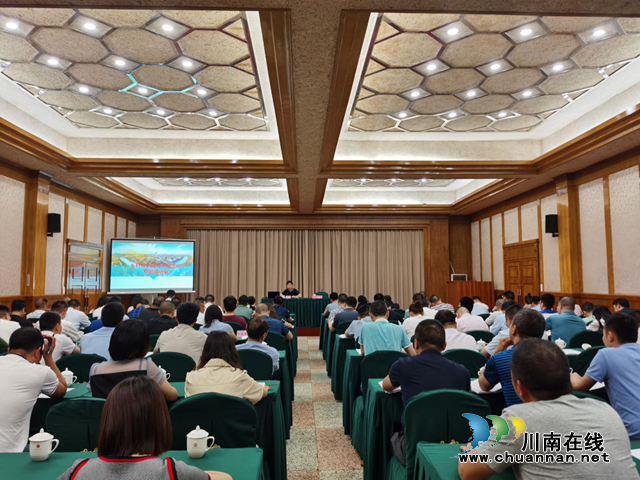 泸州市自然资源和规划局：提升乡村规划能力，助力乡村振兴