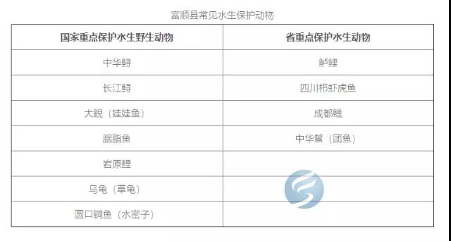 注意！富顺天然水域垂钓出新规，这些一定要注意！(图4)
