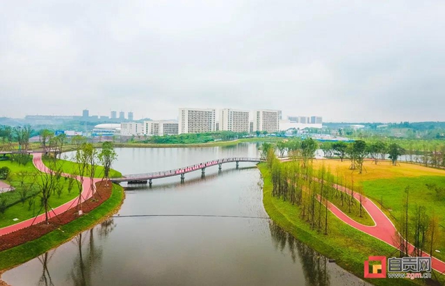 占地超50万平方米！自贡新添一座“高颜值”湿地公园(图7)