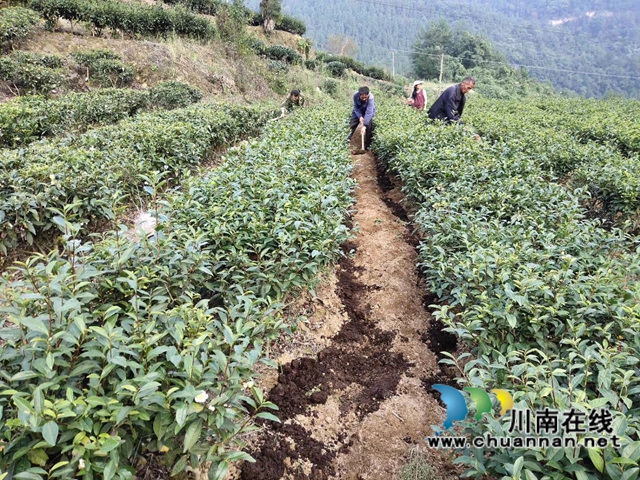 古蔺：生态环境保护忙，苗乡处处气象新(图18)
