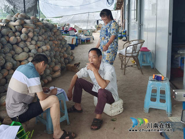 宜宾南溪区长兴镇扎实开展肥料使用及包装废弃物回收处理调查