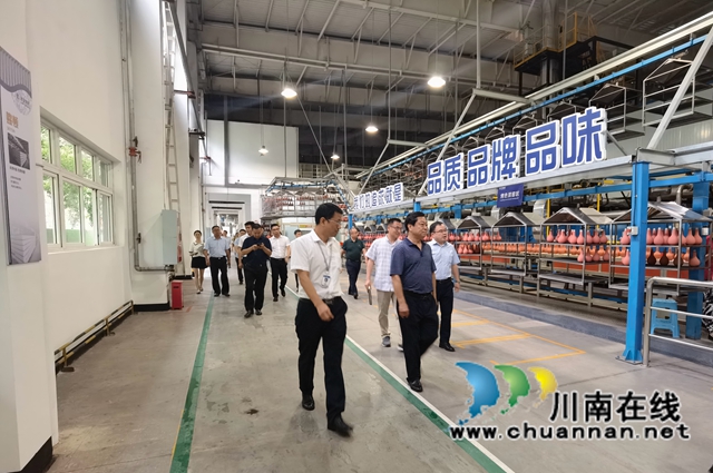致公党四川省委赴泸开展专题调研(图5)