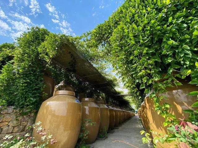 古蔺郎酒特色小镇获选四川省特色小镇(图19)