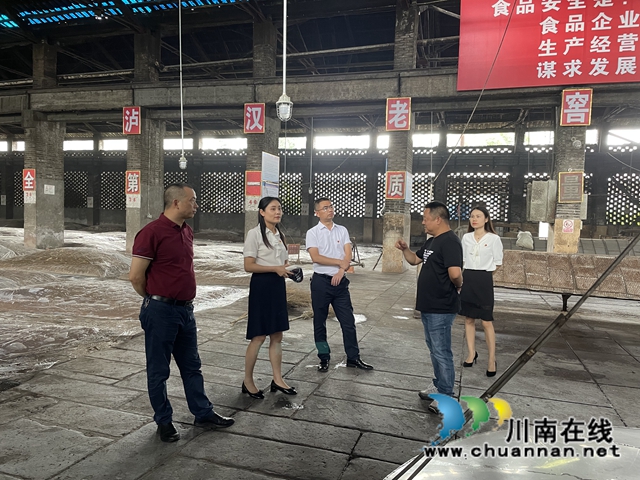甘露到泸县云龙镇慰问困难党员并督导当前重点工作(图2)